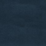 Antelina lisa - Imagen 6